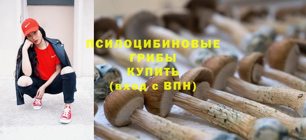 прущая мука Абаза