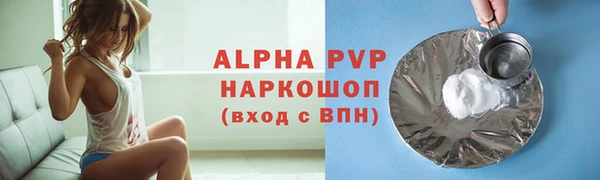 СК Абинск