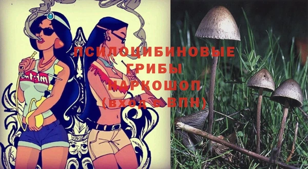 прущая мука Абаза