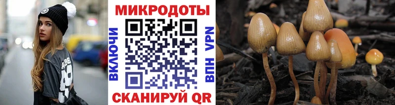 Псилоцибиновые грибы Psilocybine cubensis  Власиха 
